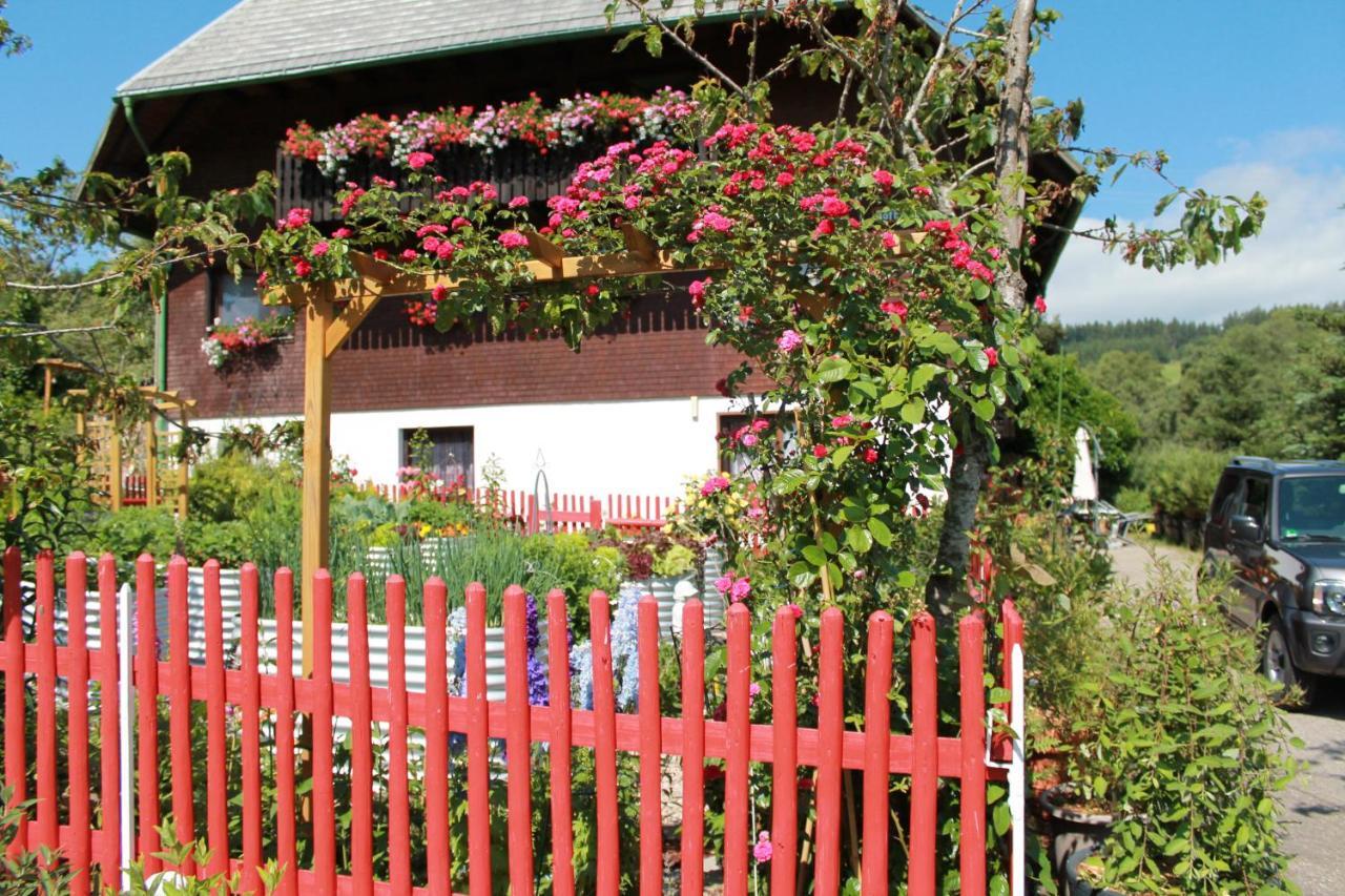 Ferienwohnung Schwarzwaldhof 티티제-노이슈타트 외부 사진
